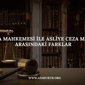 Anasayfa 16 Ağır Ceza Mahkemesi ile Asliye Ceza Mahkemesi Arasındaki Farklar